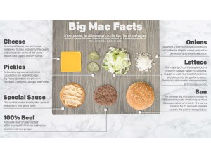 Big Mac Infographic