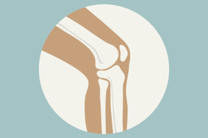 knee-joint_7702