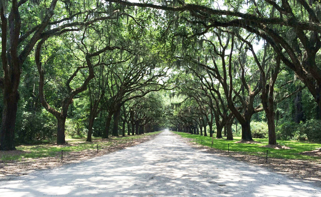 Stroll Down Savannah’s Memory Lane