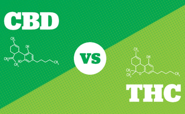 CBD vs THC 