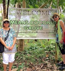Means tree project in Guimaras