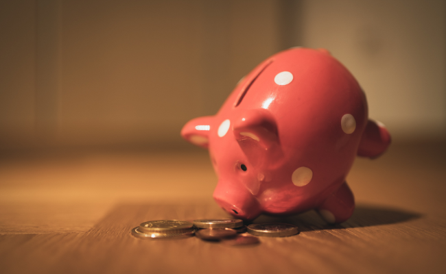 PIggy bank to signify the savings made 