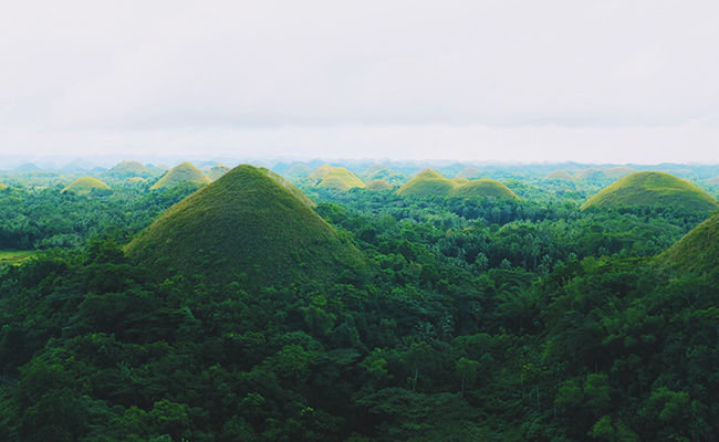 Bohol