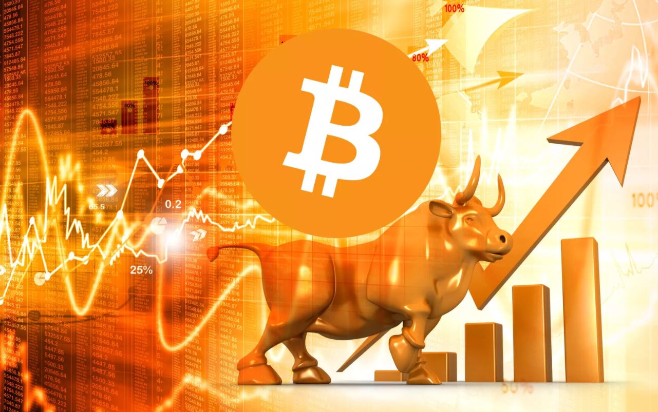 bitcoin 2019 predictions