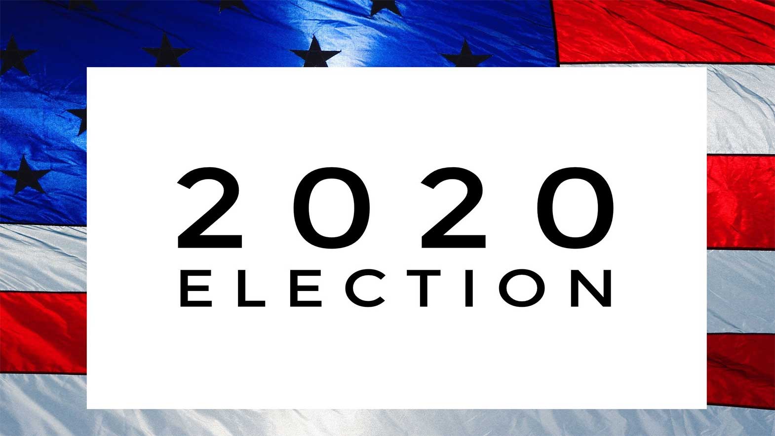 Image result for 2020 election images
