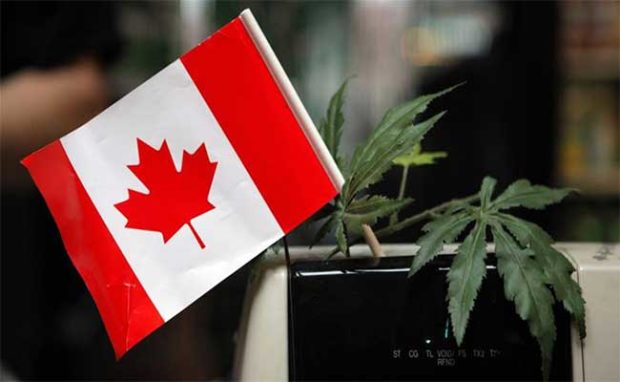 Cannabis Storefronts Open in Canada's Largest Market