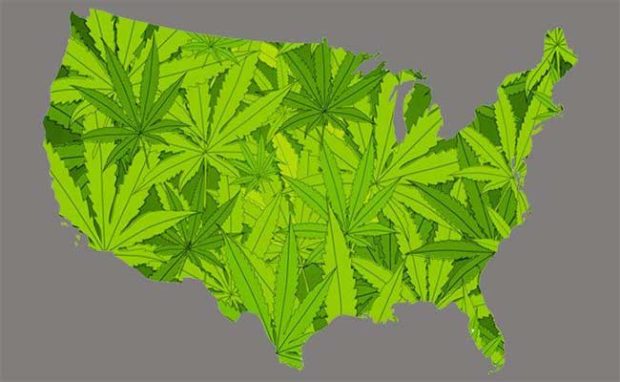 US Motions to Legalize CBD
