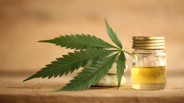 7 Best CBD Oil 2019 Reviewed & Rated
