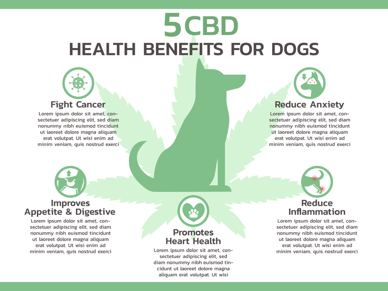 CBD Dog Treat on Amazon Organic CBD Dog Treats