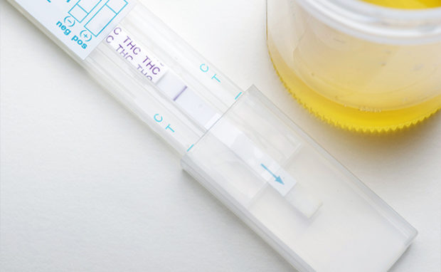 CBD Oil Drug Test: Can You Fail a Marijuana Screening?