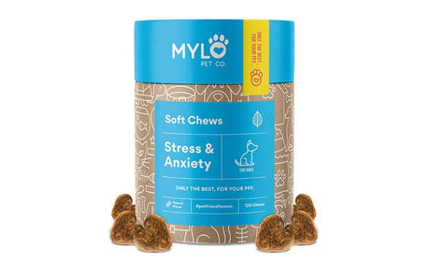 cbd dog treats amazon