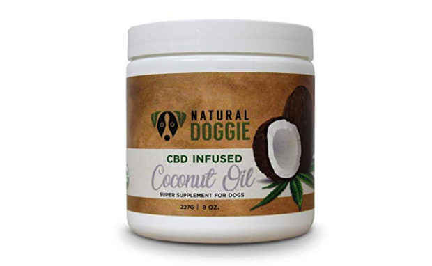 cbd oil for dogs amazon