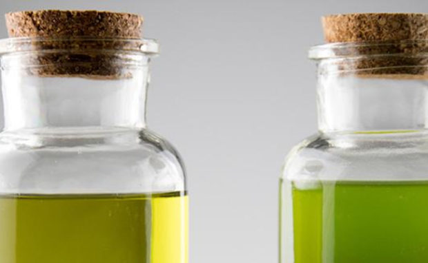 WHAT IS THE DIFFERENCE BETWEEN HEMP OIL AND CBD OIL