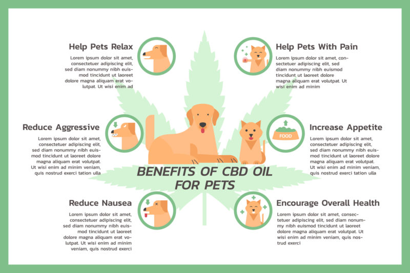 cbd dog treats amazon