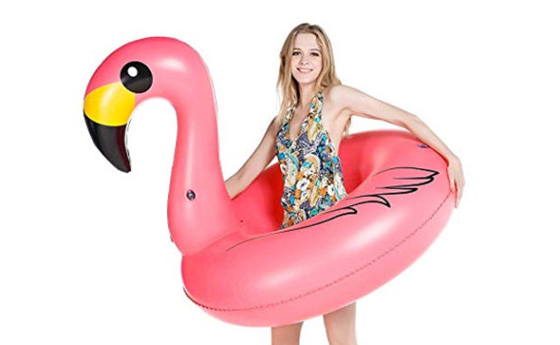 Jasonwell Giant Inflatable Flamingo Pool