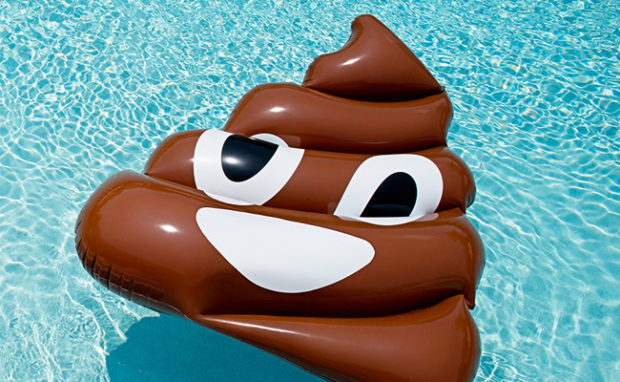 Original Giant Poop Emoji Pool Floats