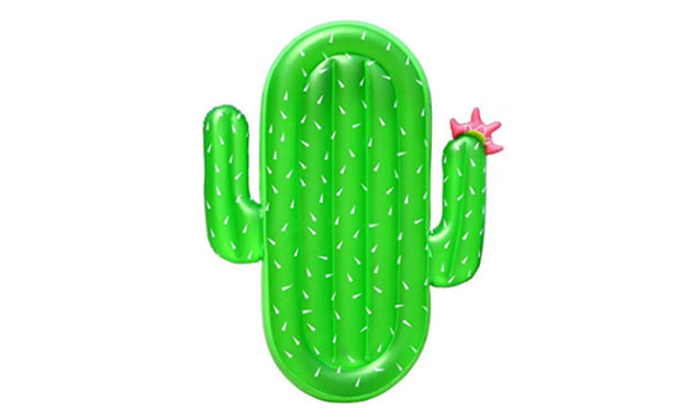 Vickea Leisure Giant Inflatable Cactus Pool Float Large