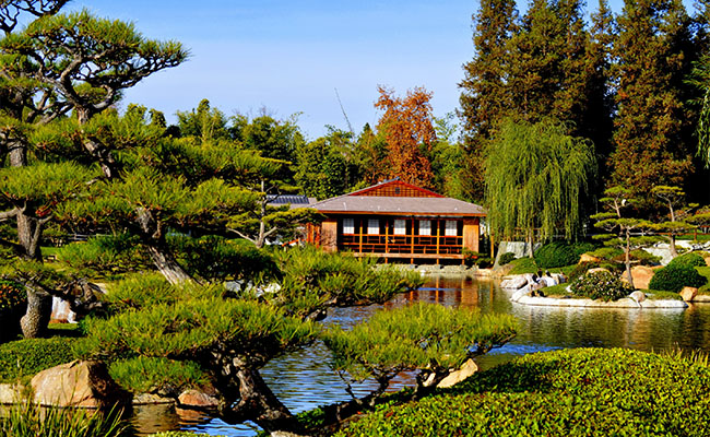 Fun Things to Do in Los Angeles | Hollywood and Santa Monica