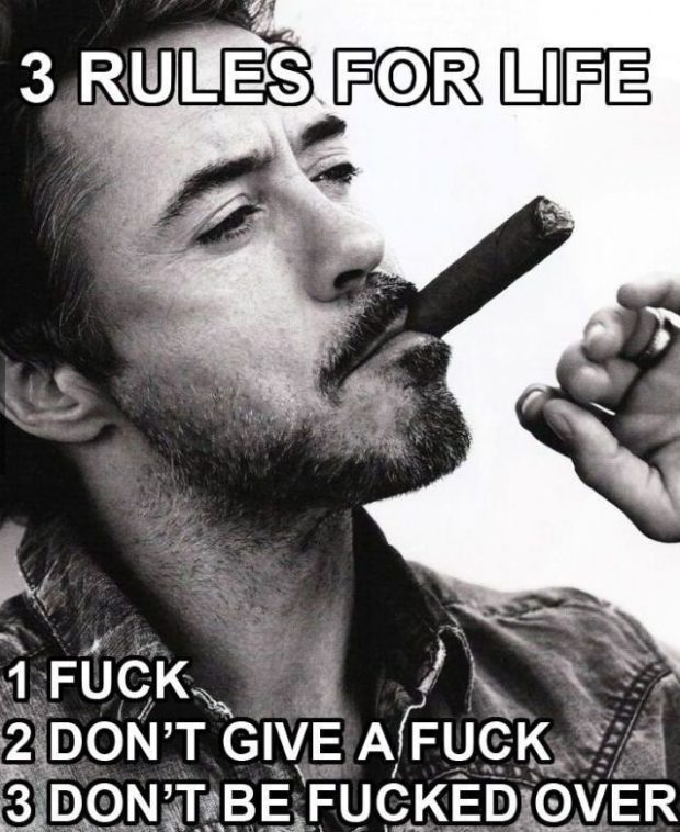 Robert Downey Jr memes