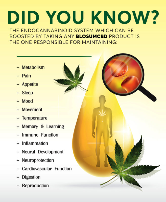 cbd oil benefits