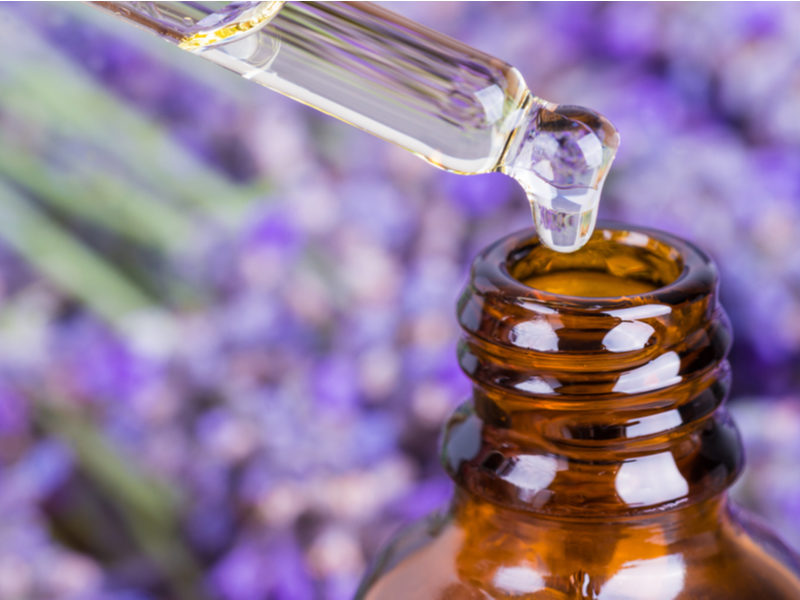 cbd oil with lavender extracts