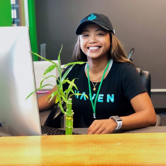 Haven store budtenders