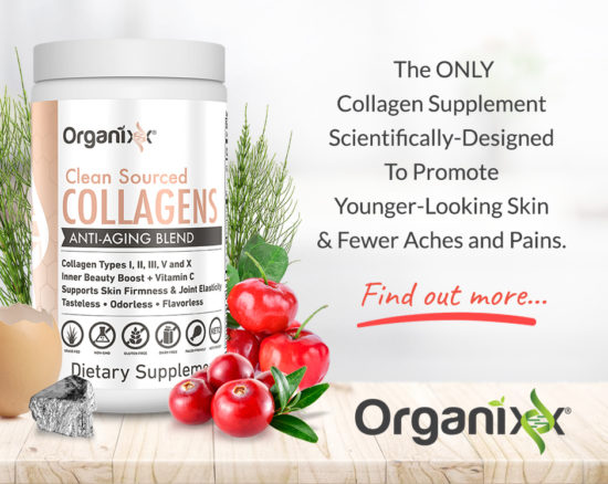 Best Collagen Products