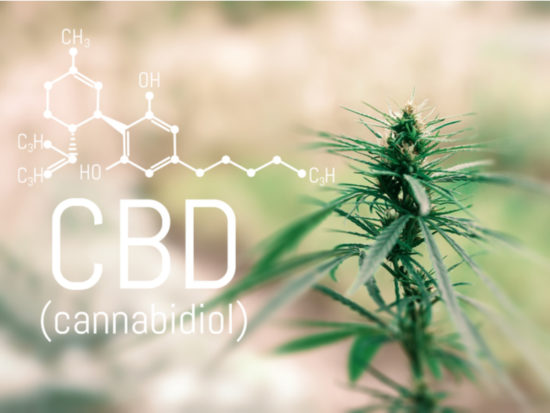 Does CBD Make You Last Longer