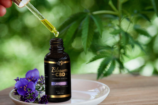 CBD tincture