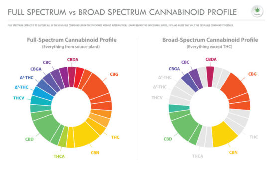 What is Full-Spectrum CBD?