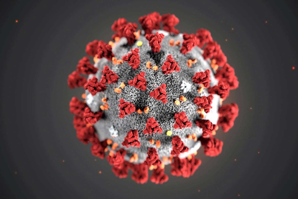 The ultrastructural morphology exhibited by the 2019 Novel Coronavirus (2019-nCoV), which was identified as the cause of an outbreak of respiratory illness first detected in Wuhan, China, is seen in an illustration released by the Centers for Disease Control and Prevention (CDC) in Atlanta, Georgia, U.S. January 29, 2020. Alissa Eckert, MS; Dan Higgins, MAM/CDC/Handout via REUTERS.