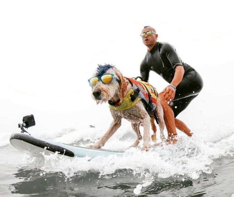  Frankfort, Kentucky native Kioni "Kentucky" Gallahue is pictured with his surfing dog, Derby. (Courtesy of Kioni Gallahue)