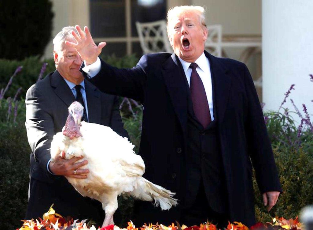 Thanksgiving turkey is on the left,  REUTERS