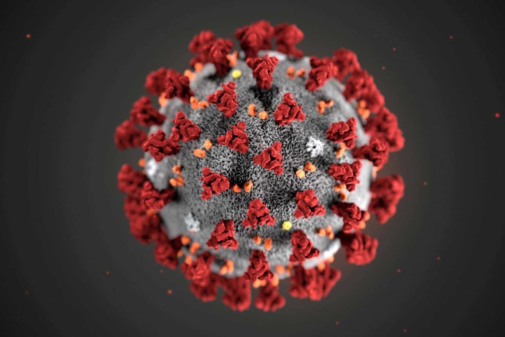 The ultrastructural morphology exhibited by the 2019 Novel Coronavirus (2019-nCoV), is seen in an illustration released by the Centers for Disease Control and Prevention (CDC) in Atlanta, Georgia, U.S. January 29, 2020. Alissa Eckert, MS; Dan Higgins, MAM/CDC/Handout via REUTERS.