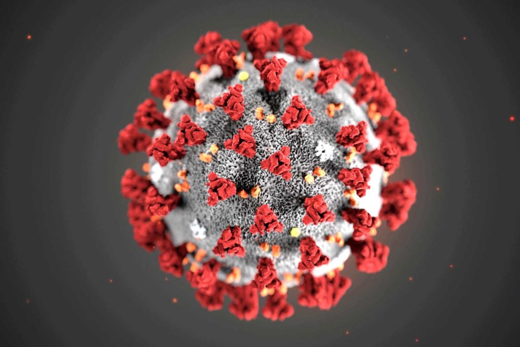   The ultrastructural morphology exhibited by the 2019 Novel Coronavirus (2019-nCoV), is seen in an illustration released by the Centers for Disease Control and Prevention (CDC) in Atlanta, Georgia, U.S. January 29, 2020. Alissa Eckert, MS; Dan Higgins, MAM/CDC/Handout via REUTERS.