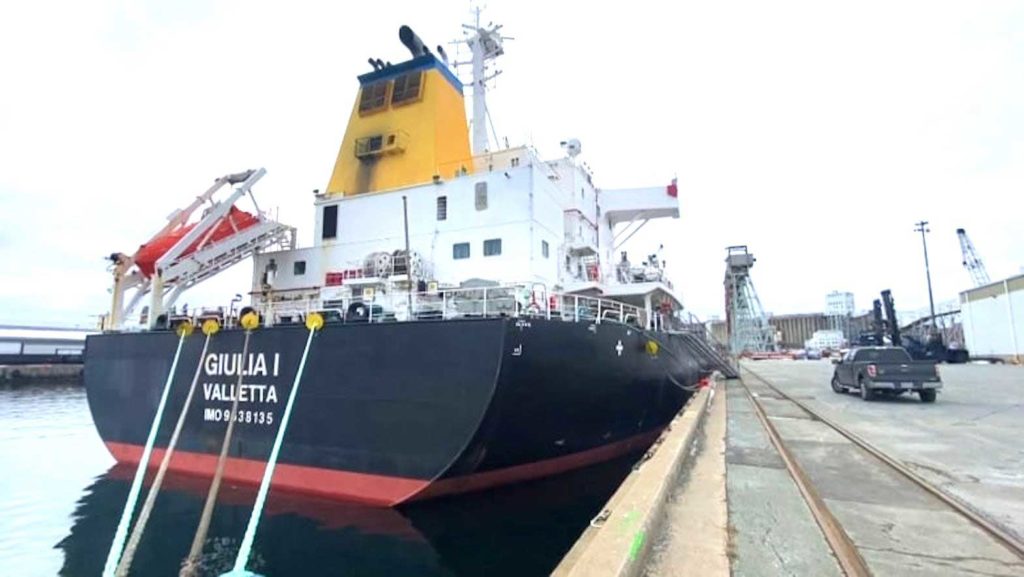 The bulk carrier MV Giulia I was reportedly struck by a high wave on Saturday about 320 nautical miles southeast of Nova Scotia on its way to Africa from Virginia.