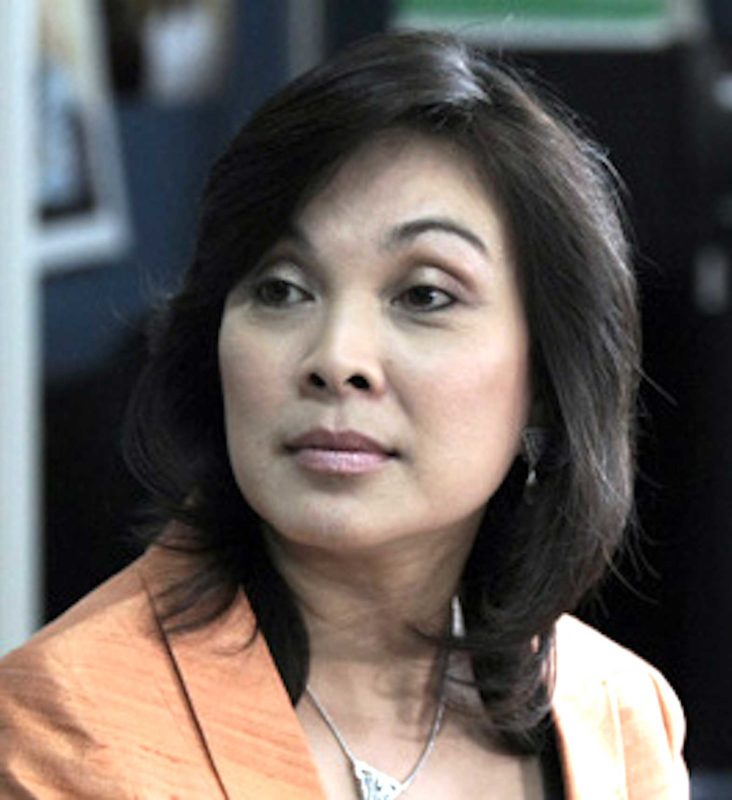 Deputy Speaker Loren Legarda secured funding through the Philippine Department of Foreign Affairs.