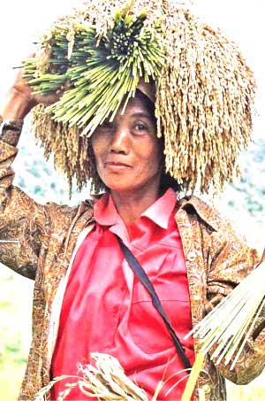 Climate change poses new challenges to Filipina farmers and workers. EV ESPIRITU INQUIRER FILE