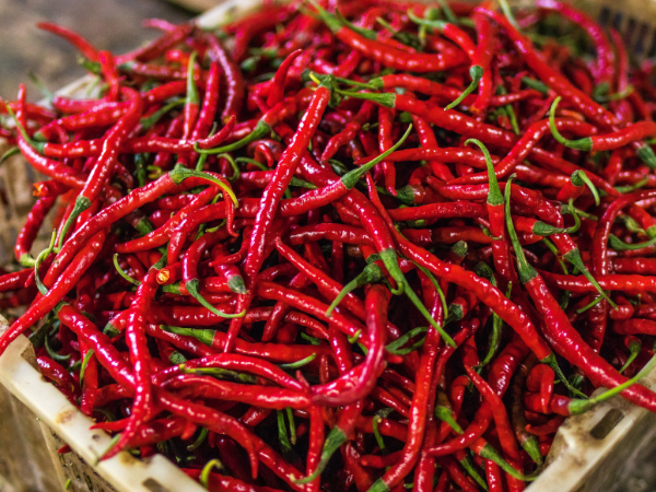 What pepper is most spicy?