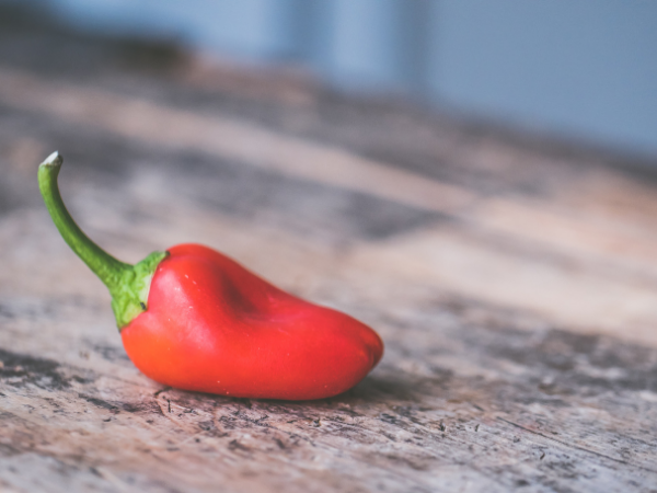 Which is the hottest pepper in the world?
