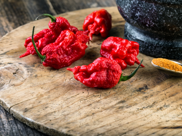 What pepper is hotter than the Carolina Reaper?