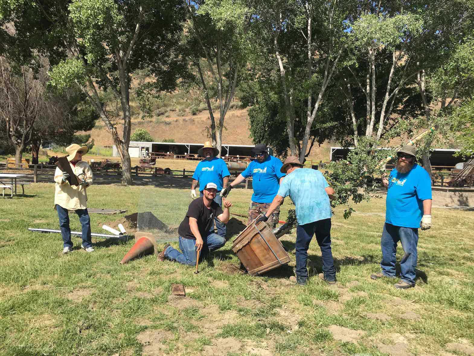 Arbor Week PG&E tips for planting the right tree in the right place