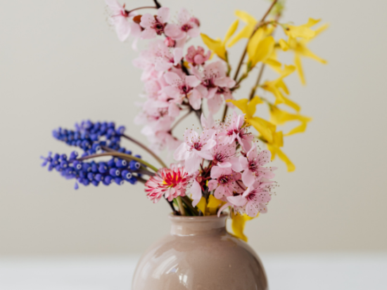 Keep cut flowers fresh.