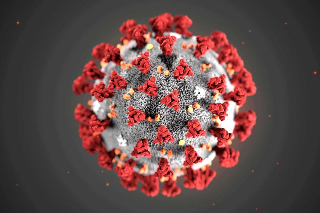 The ultrastructural morphology exhibited by the 2019 Novel Coronavirus (2019-nCoV) is seen in an illustration released by the Centers for Disease Control and Prevention (CDC) in Atlanta, Georgia, U.S. January 29, 2020. Alissa Eckert, MS; Dan Higgins, MAM/CDC/Handout via REUTERS