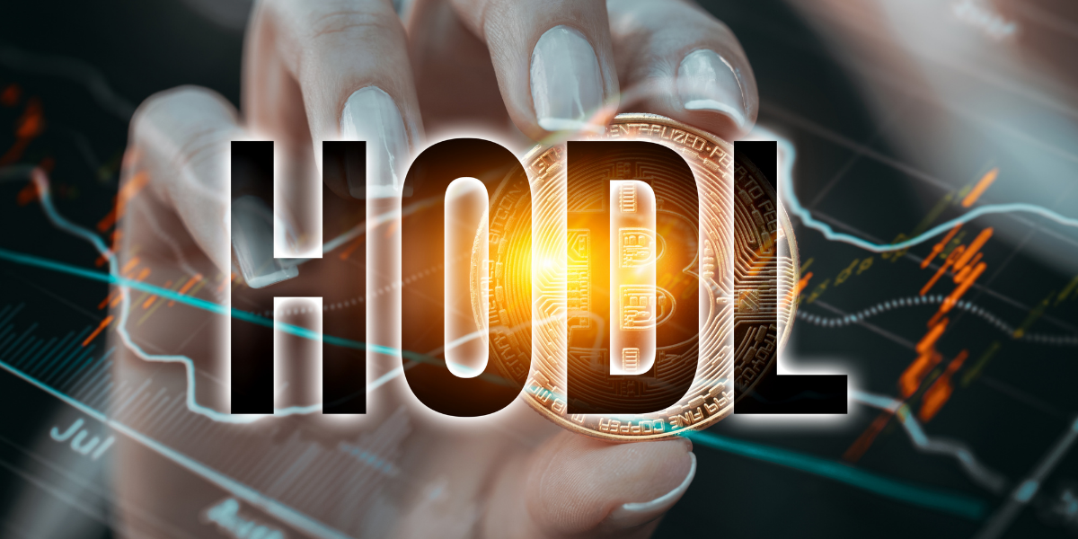 daily hodl