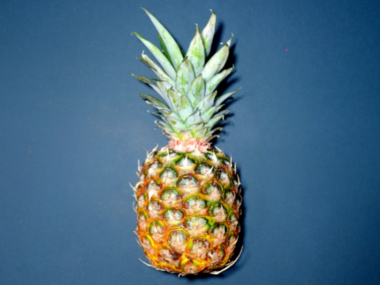 What is the Best Time of Year to Buy Pineapples?