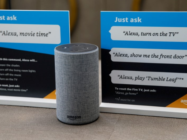 Top senator fears as Big Tech's smart home device Alexa dominates