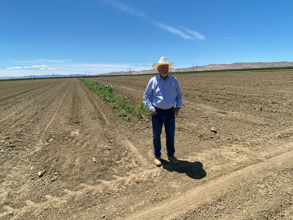 'Big risk': California farmers hit by drought change planting plans