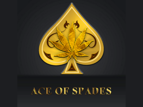 The Ace Ultra Experience