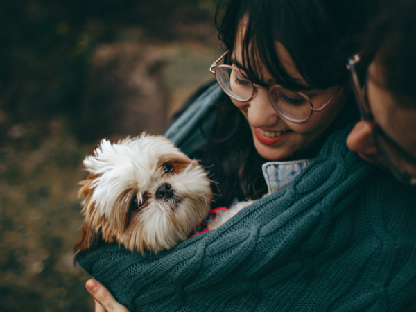 How to choose the best pet insurance?